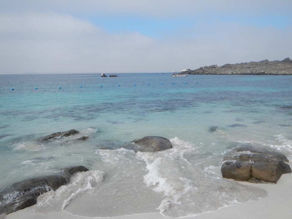 Parque Nacional Pingüino de Humboldt