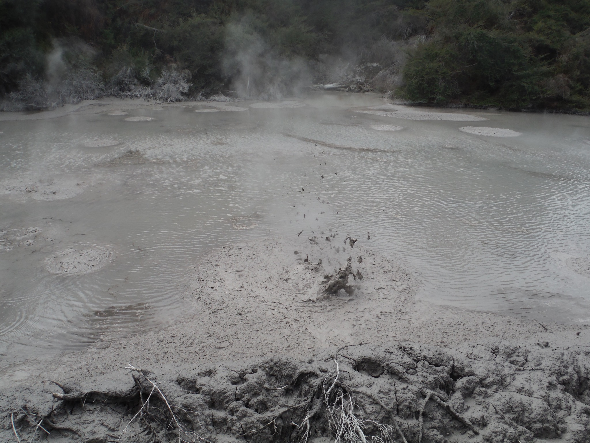 Geothermal Wonderland